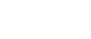 Logo 29